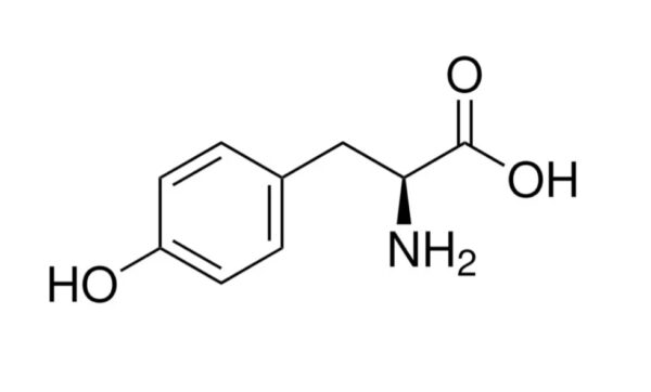 آمینو اسید ال تیروزین مرک، کد 93829