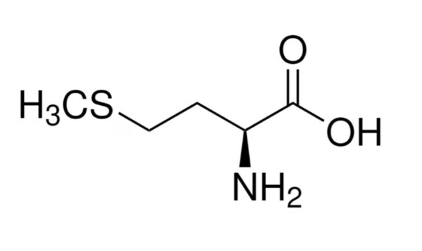 اسید آمینه ال متیونین سیگما آلدریچ، کد M5308