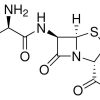 امپیسیلین سدیم سالت سیگما آلدریچ، کد A9518